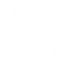 BRAIN STROKE